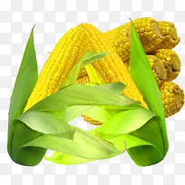小清新青色生玉米-空若网 小清新青色生玉米-空若网