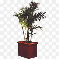 ���Է�����-������