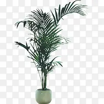 ���ڷ�����-������