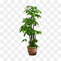 ·¢²ÆÊ÷ÅèÔÔ-¿ÕÈôÍø ·¢²ÆÊ÷ÅèÔÔ-¿ÕÈôÍø