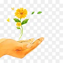 菊花爱心公益-空若网 菊花爱心公益-空若网