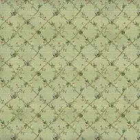 ����ֲ����ӱ���-������