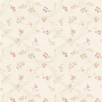 ���ܱ���ͼ��-������