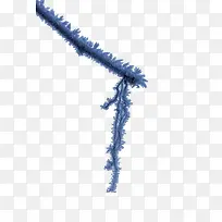 结霜的树枝-空若网 结霜的树枝-空若网