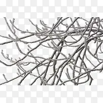 �������֦-������