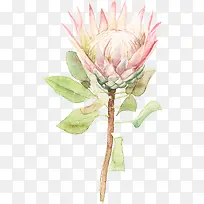 ɭϵˮ�����տ��ʻ�-������