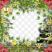 ����߿�-������