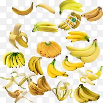 ˮ��Ԫ��-������