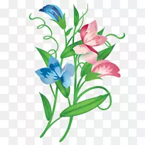 切花开花植物甜豌豆-空若网 切花开花植物甜豌豆-空若网