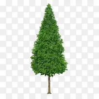 ����ǰ����-������