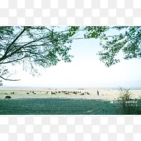 荒原上的动物树枝海报背景-空若网 荒原上的动物树枝海报背景-空若网