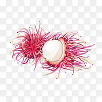 ��ͨ��ë��-������