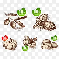 ÊÖ»æÊß²ËÍÁ¶¹ËâÍ·-¿ÕÈôÍø ÊÖ»æÊß²ËÍÁ¶¹ËâÍ·-¿ÕÈôÍø