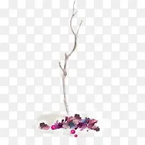 ����֦-������