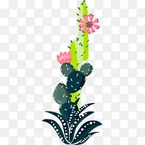 小草和仙人掌-空若网 小草和仙人掌-空若网