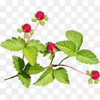 ���غ�ɫɣ��������-ɣ��-������