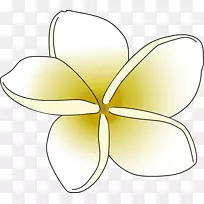 ���洫�۵����껨-������