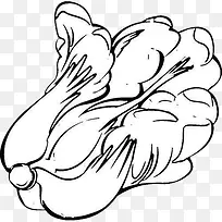 �߲˰ײ˼�ʻ�ʳ��-������