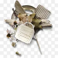 ���Ӷ���֦Ҷ-������