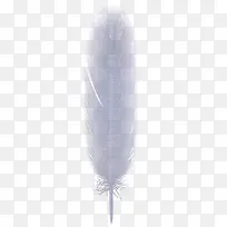 翅膀翅膀图片-空若网 翅膀翅膀图片-空若网