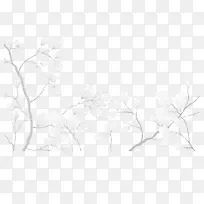 精美树枝-空若网 精美树枝-空若网