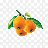 枇杷夏季水果-空若网 枇杷夏季水果-空若网