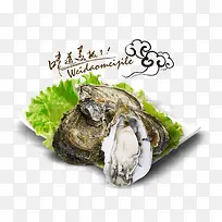 ��ٰ�ɫ����������-������