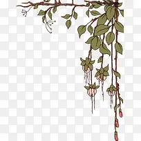 吊花-空若网 吊花-空若网