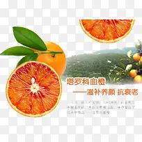 水果配果园背景-空若网 水果配果园背景-空若网