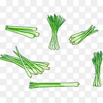 矢量柠檬草的插图-空若网 矢量柠檬草的插图-空若网