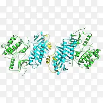 蛋白质结构-空若网 蛋白质结构-空若网