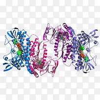 �����ʽṹ-������