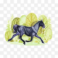 矢量水彩马-空若网 矢量水彩马-空若网