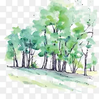 ʸÁ¿Ë®²ÊÊ÷ÁÖ-¿ÕÈôÍø ʸÁ¿Ë®²ÊÊ÷ÁÖ-¿ÕÈôÍø