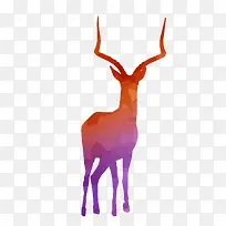 ��ɫҰ��ѱ¹��Ӱʸ���ز�-������