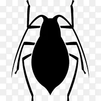 昆虫计算机图标.昆虫-空若网 昆虫计算机图标.昆虫-空若网