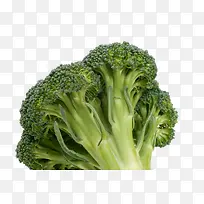 高清西兰花特写-空若网 高清西兰花特写-空若网