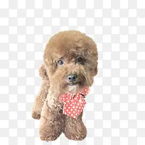 ̩�Ϲ�-������