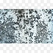 ������ǽ�ڱ���-������