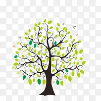 ïʢµÄÊ÷-¿ÕÈôÍø ïʢµÄÊ÷-¿ÕÈôÍø