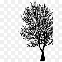 树剪影-空若网 树剪影-空若网