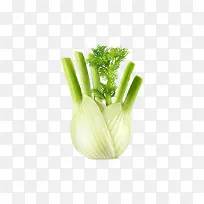 蔬菜芹菜-空若网 蔬菜芹菜-空若网