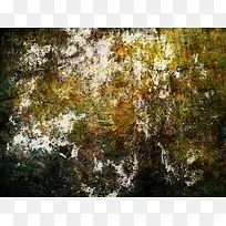 �Ƿϱ���06-������