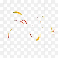 橙色杂花瓣-空若网 橙色杂花瓣-空若网