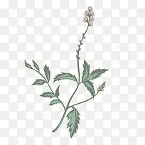 ���޲�װ������ز�-������