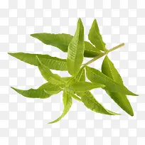 ÄûÃÊÂí±Þ²Ý×°ÊÎÉè¼ÆËØ²Ä-¿ÕÈôÍø ÄûÃÊÂí±Þ²Ý×°ÊÎÉè¼ÆËØ²Ä-¿ÕÈôÍø