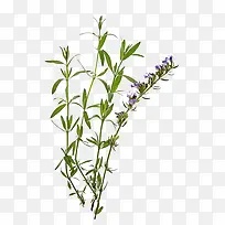 ���޲��������-������