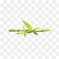 马鞭草免费下载-空若网 马鞭草免费下载-空若网