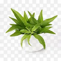 ���޲��������-������