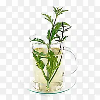 马鞭草免费下载-空若网 马鞭草免费下载-空若网